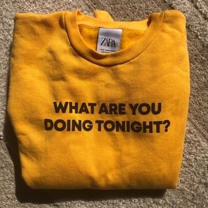 What Are You Doing Tonight? Zara Crewneck Sweater